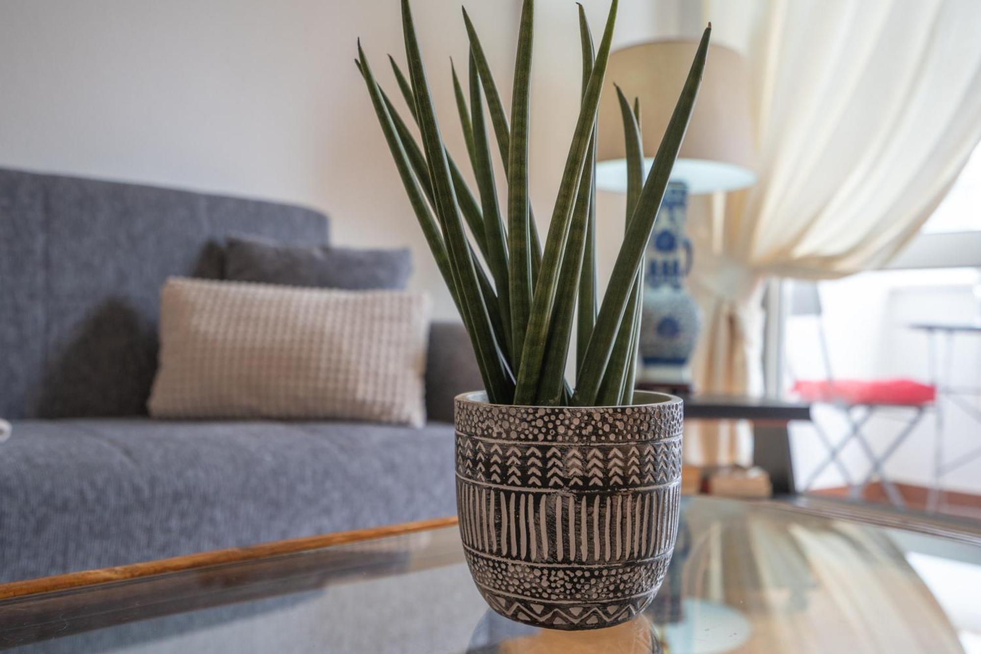Apartamento Escadinhas Lagos Exteriör bild